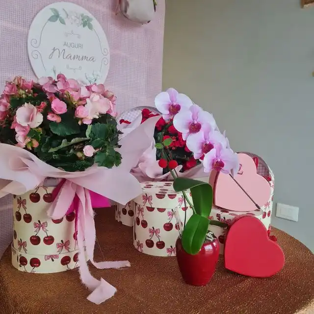 Piantine fiorite e orchidee per la festa della mamma